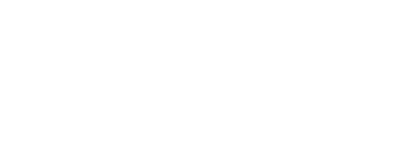 Gopro